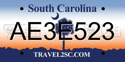 AE3E523 South Carolina License Plate