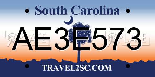 AE3E573 South Carolina License Plate