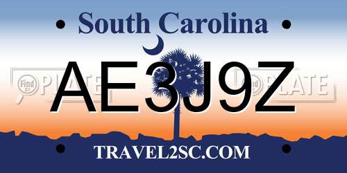 AE3J9Z South Carolina License Plate