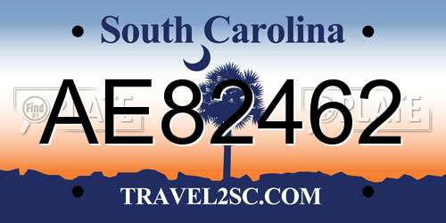 AE82462 South Carolina License Plate