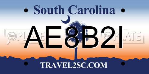 AE8B2I South Carolina License Plate