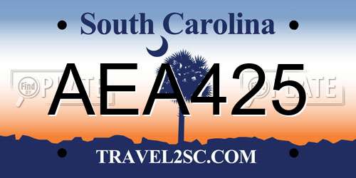 AEA425 South Carolina License Plate