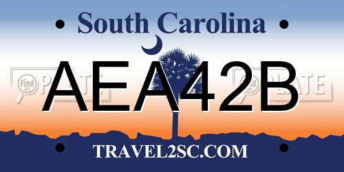 AEA42B South Carolina License Plate