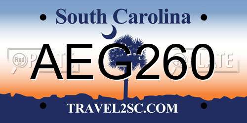 AEG260 South Carolina License Plate