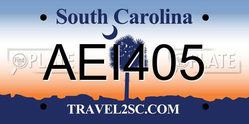 AEI405 South Carolina License Plate