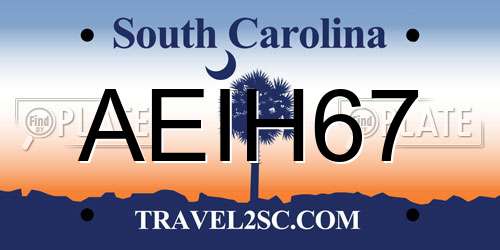 AEIH67 South Carolina License Plate