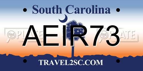 AEIR73 South Carolina License Plate