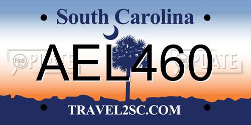 AEL460 South Carolina License Plate
