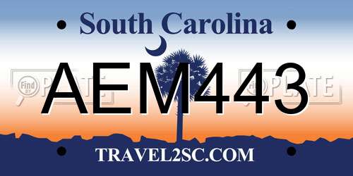 AEM443 South Carolina License Plate