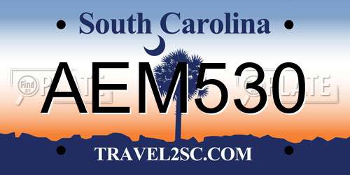 AEM530 South Carolina License Plate
