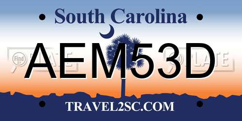 AEM53D South Carolina License Plate