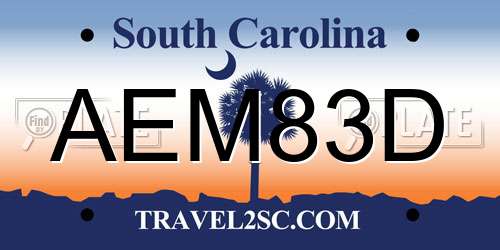 AEM83D South Carolina License Plate