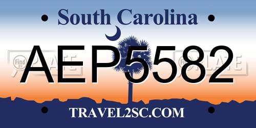 AEP5582 South Carolina License Plate