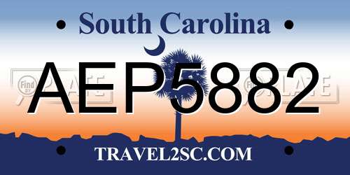 AEP5882 South Carolina License Plate