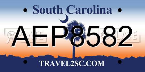 AEP8582 South Carolina License Plate