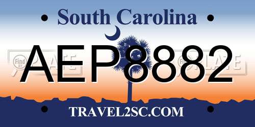 AEP8882 South Carolina License Plate