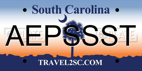AEPSSST South Carolina License Plate