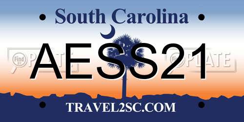 AESS21 South Carolina License Plate
