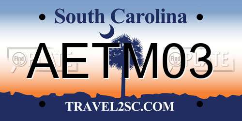 AETM03 South Carolina License Plate