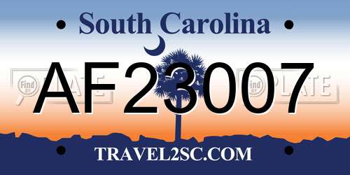AF23007 South Carolina License Plate