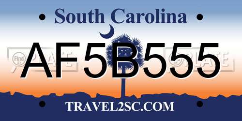 AF5B555 South Carolina License Plate
