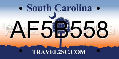 AF5B558 South Carolina License Plate