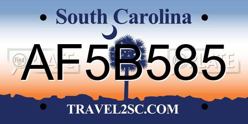 AF5B585 South Carolina License Plate
