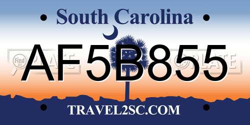AF5B855 South Carolina License Plate