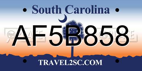 AF5B858 South Carolina License Plate