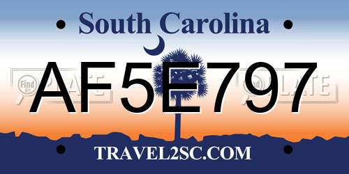 AF5E797 South Carolina License Plate
