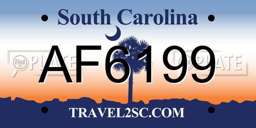 AF6199 South Carolina License Plate