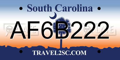 AF6B222 South Carolina License Plate