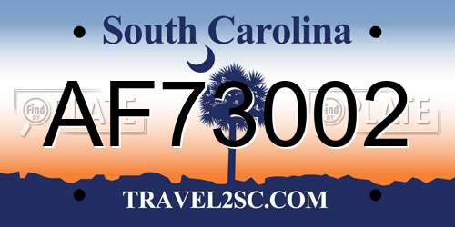 AF73002 South Carolina License Plate