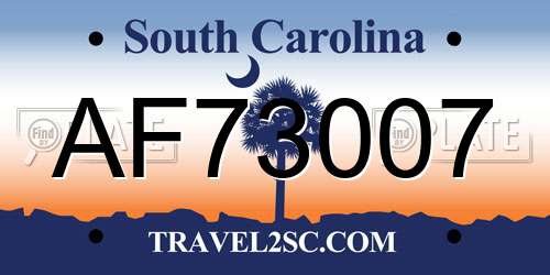 AF73007 South Carolina License Plate