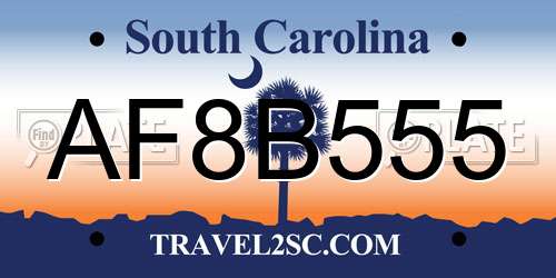 AF8B555 South Carolina License Plate