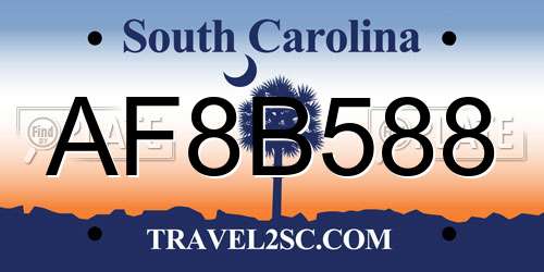 AF8B588 South Carolina License Plate