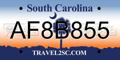 AF8B855 South Carolina License Plate