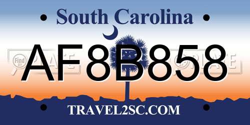 AF8B858 South Carolina License Plate
