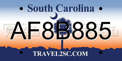 AF8B885 South Carolina License Plate