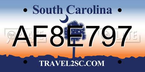 AF8E797 South Carolina License Plate