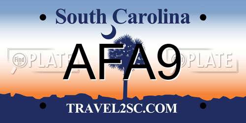 AFA9 South Carolina License Plate