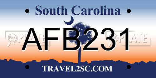 AFB231 South Carolina License Plate