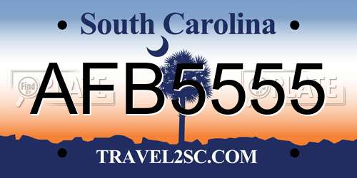 AFB5555 South Carolina License Plate