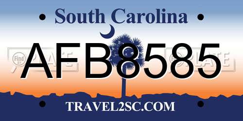 AFB8585 South Carolina License Plate