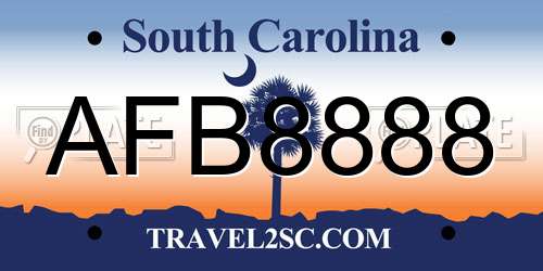 AFB8888 South Carolina License Plate