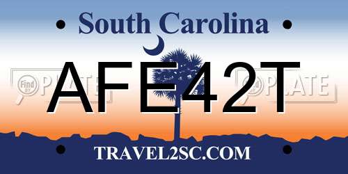 AFE42T South Carolina License Plate