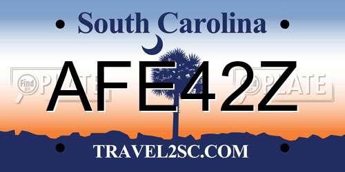 AFE42Z South Carolina License Plate