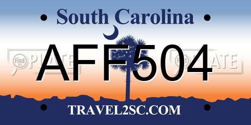 AFF504 South Carolina License Plate