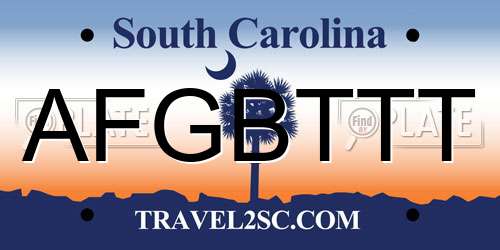 AFGBTTT South Carolina License Plate