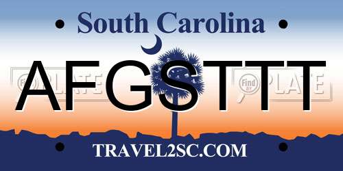 AFGSTTT South Carolina License Plate